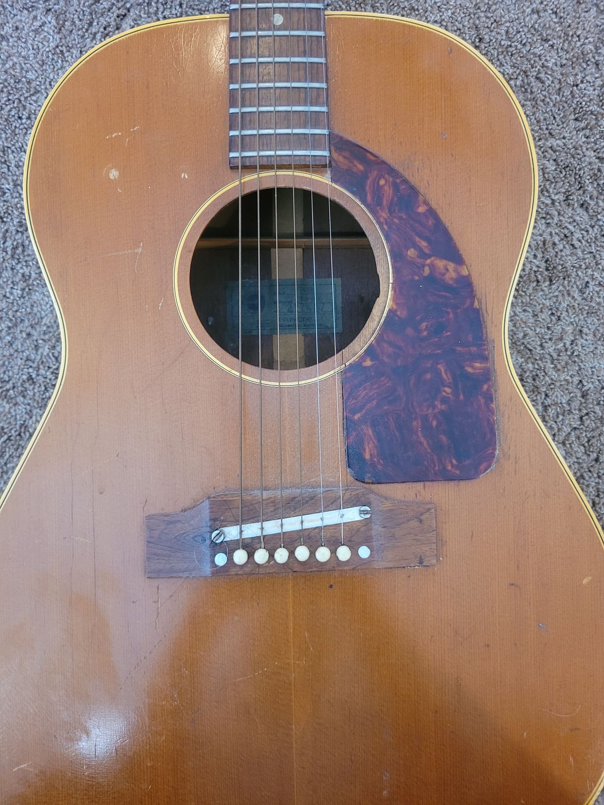 Epiphone FT-45N Cortez 1964 - Rough Condition - Image 2