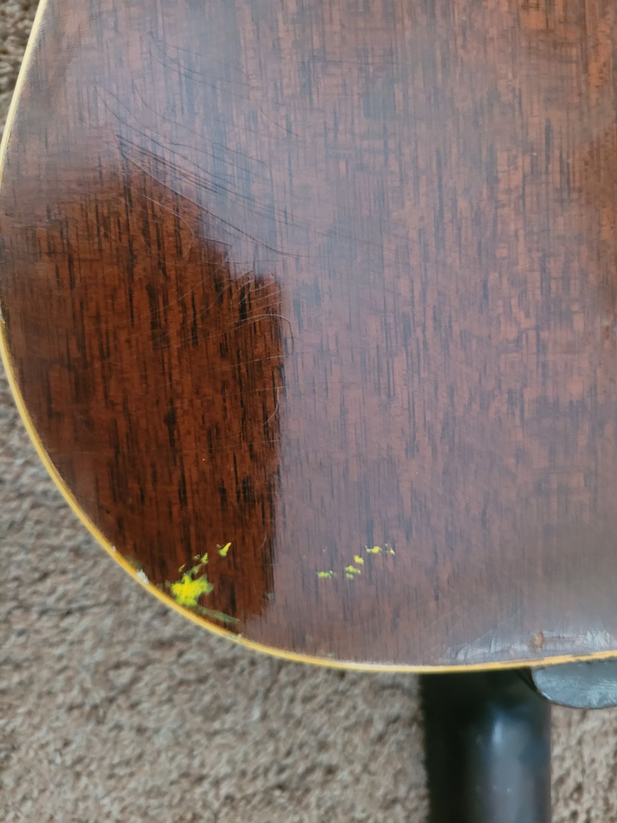 Epiphone FT-45N Cortez 1964 - Rough Condition - Image 21