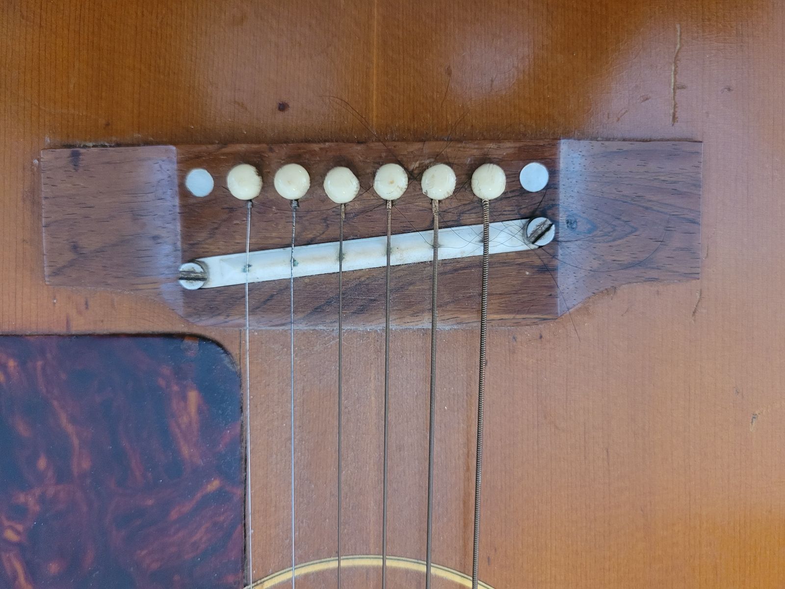 Epiphone FT-45N Cortez 1964 - Rough Condition - Image 4