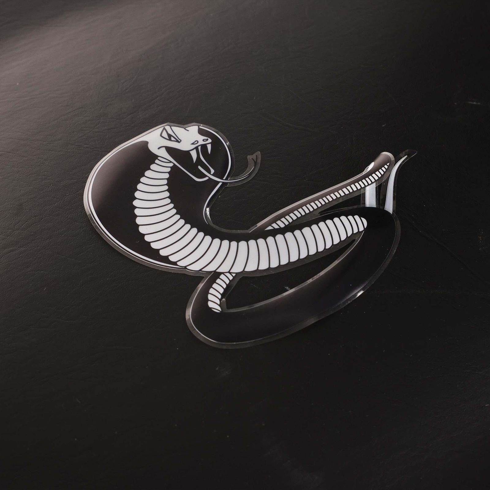 Epiphone George Thorogood ES-125 White Fang 2019 - Image 16