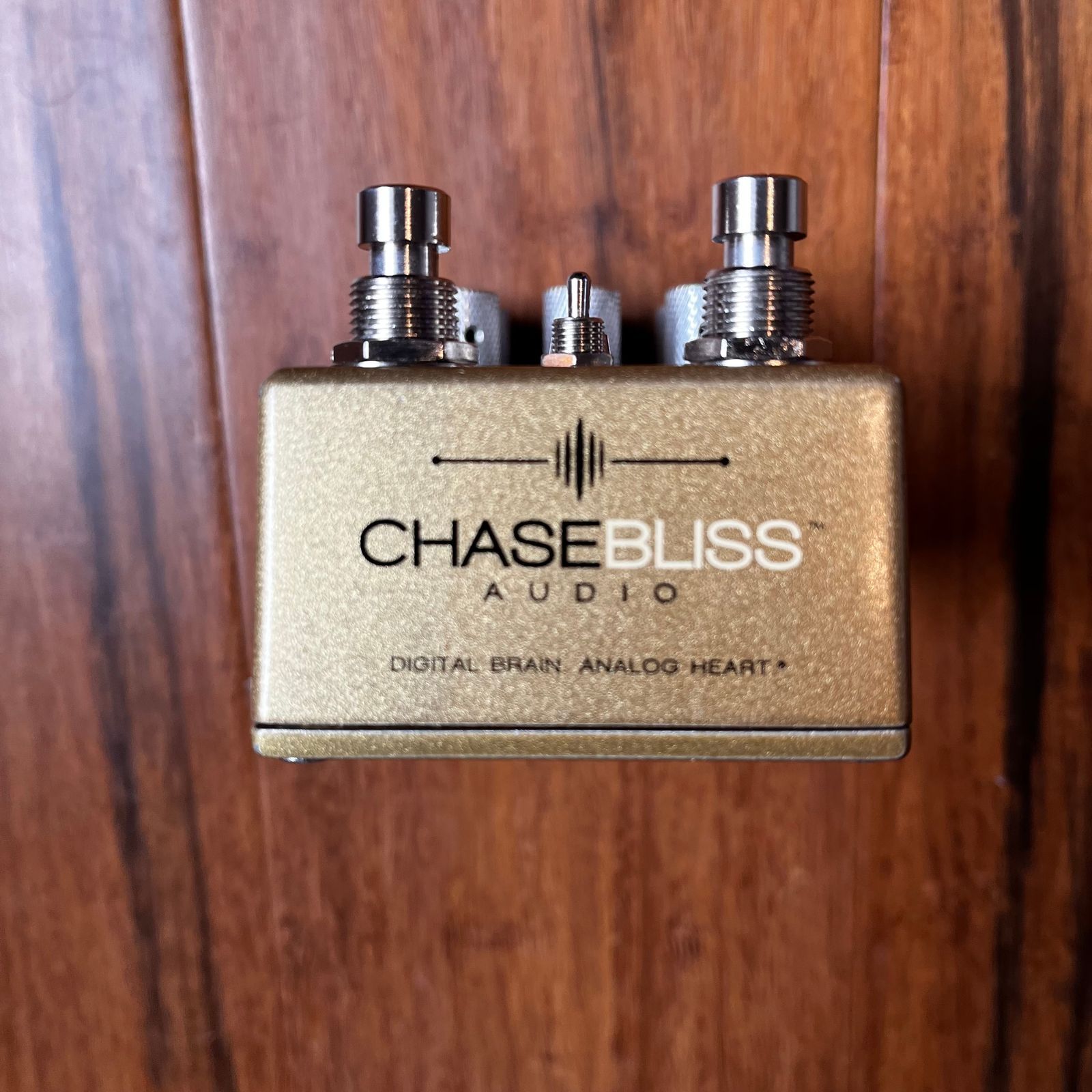 Chase Bliss Audio Brothers Analog Gain Stage 2017 - 2018 - Gold - Image 4